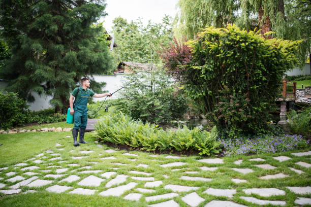 Best Affordable Pest Control Services  in Avondale Estates, GA