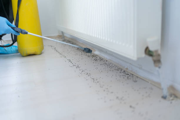 Best Commercial Pest Control Services  in Avondale Estates, GA